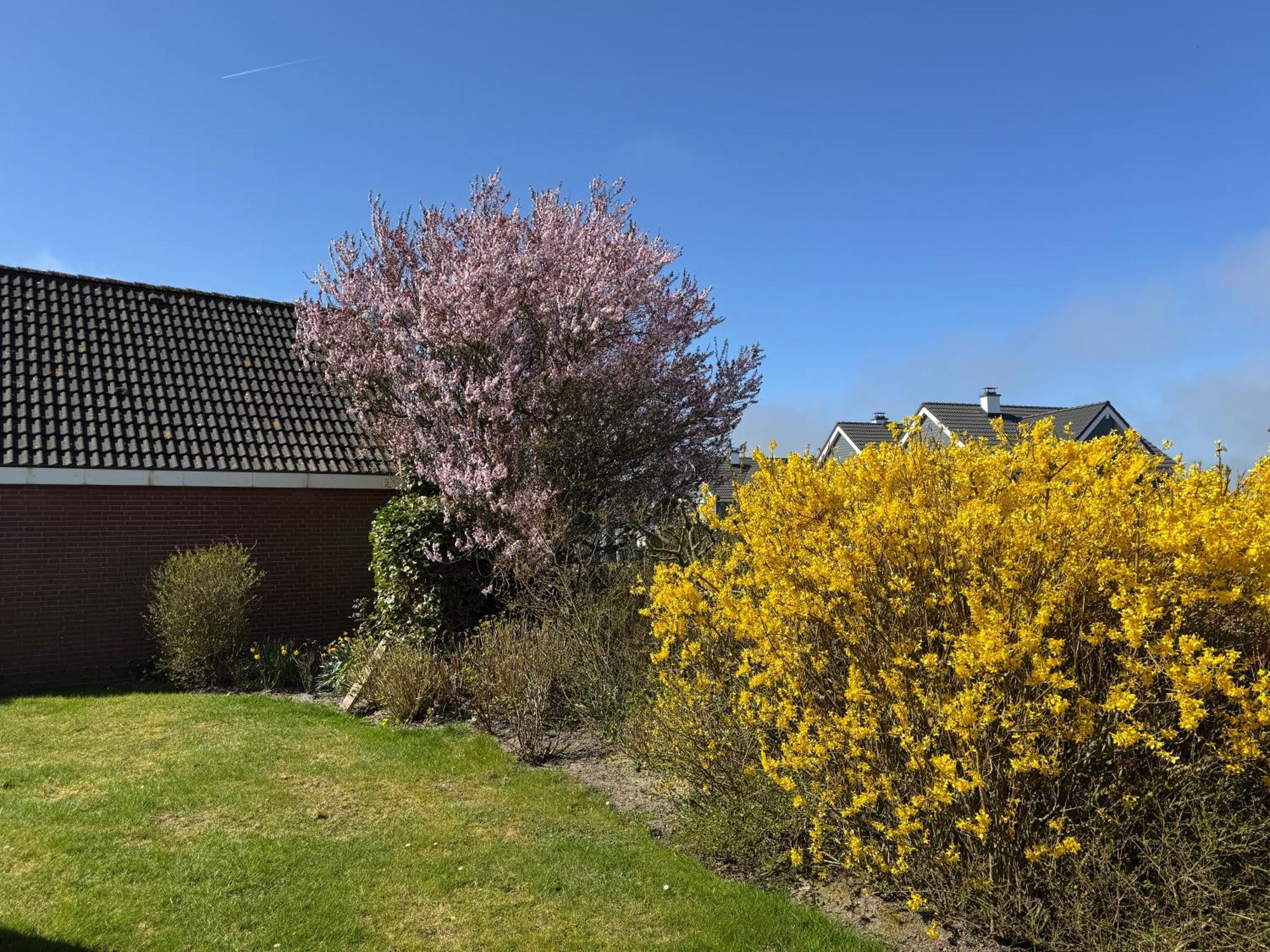 Haus Nordstrand Büsum Exterior foto